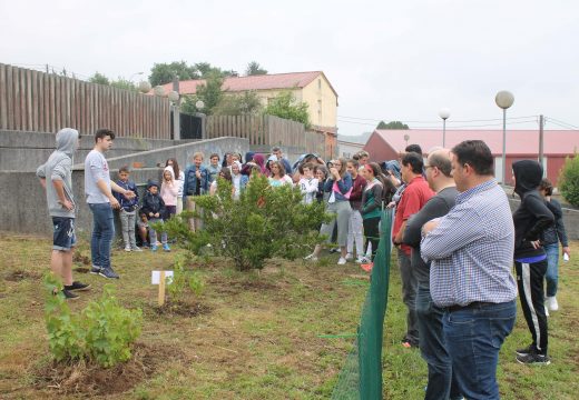 O alumnado do CPI Ponte Carreira presenta á veciñanza de Frades os beneficios da agricultura ecolóxica e o seu horto escolar